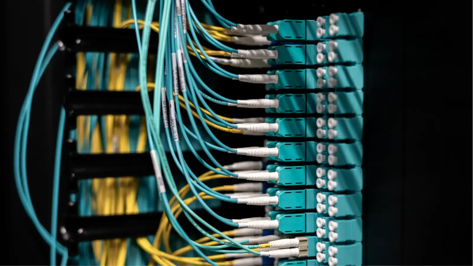 Build Intelligent AI Agents That Automate Real Business Workflows Network equipment in a server room
